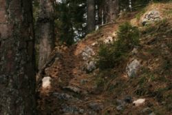 2011-04-24_Regina-F-Rau_Brunnstein-Spitze (007).JPG